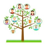 עץ משפחה - ניהול קשרים יעיל עם מערכות מתקדמות