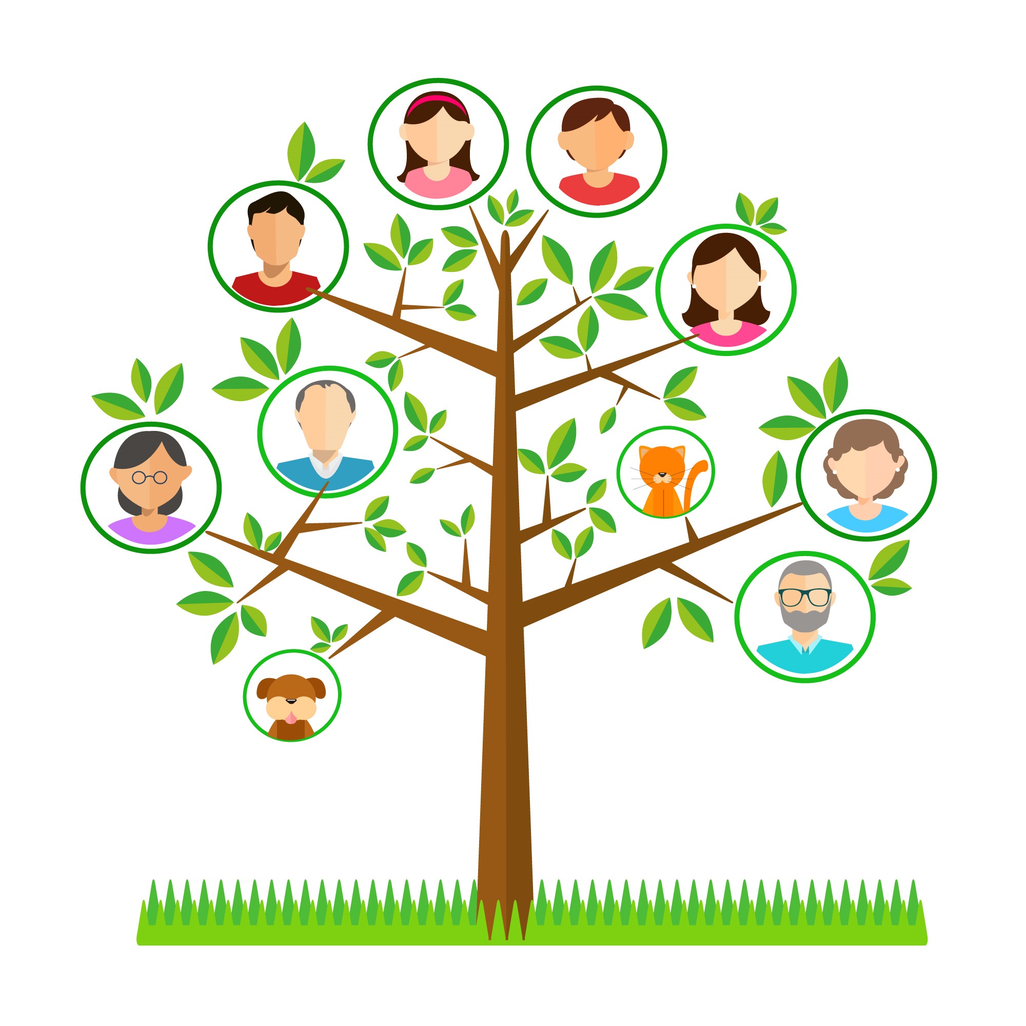 עץ משפחה - ניהול קשרים